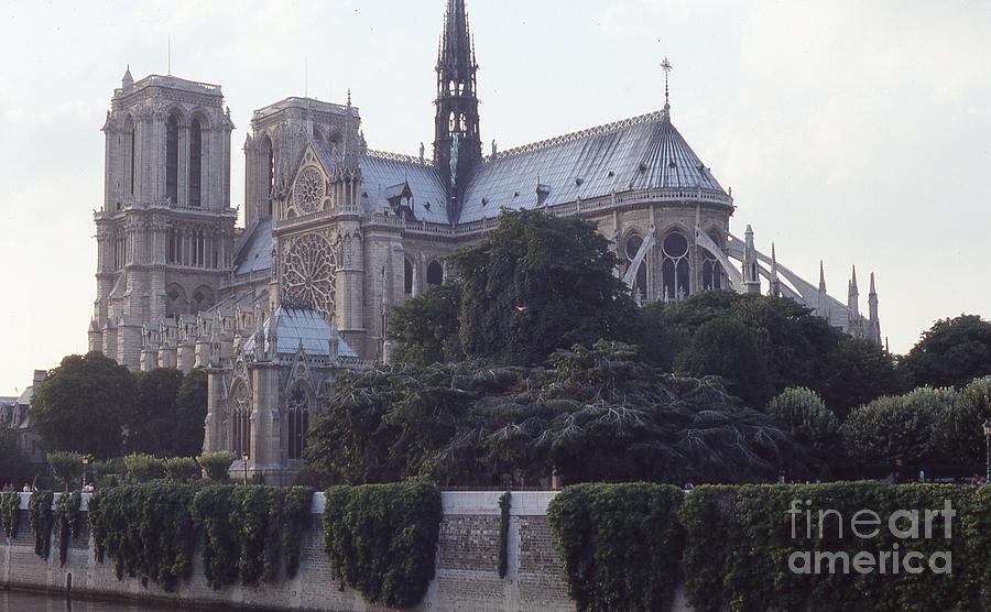 Notre Dame Cathedral Photograph by Richard Amble