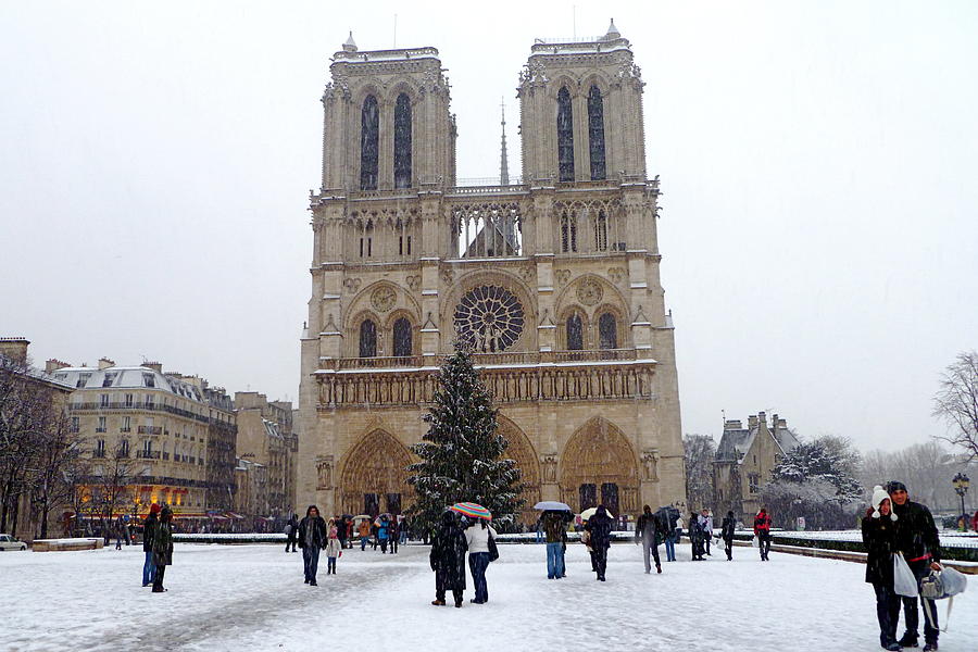 Notre Dame Christmas Paris Photograph by Amelia Racca