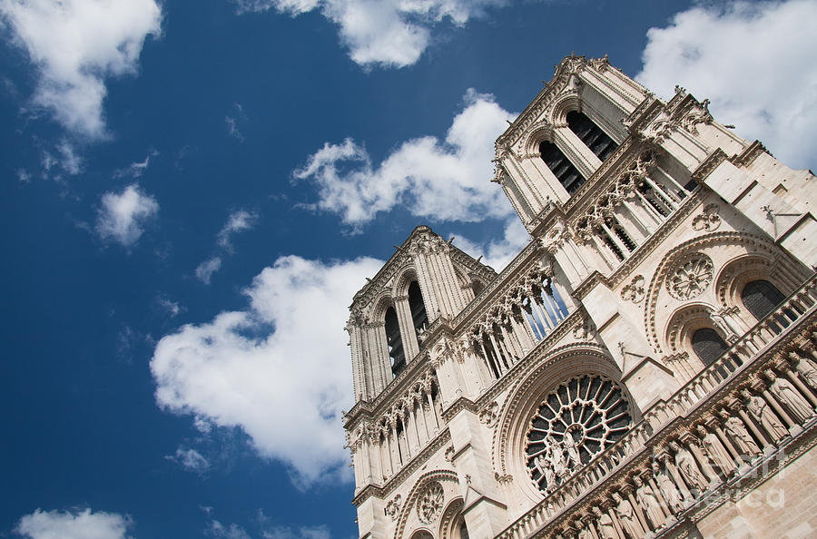 Notre Dame de Paris Photograph by Olivier Steiner