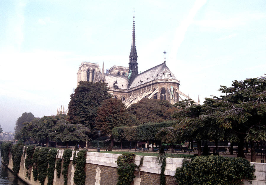 Notre Dame from The Left Bank Photograph by Tom Wurl