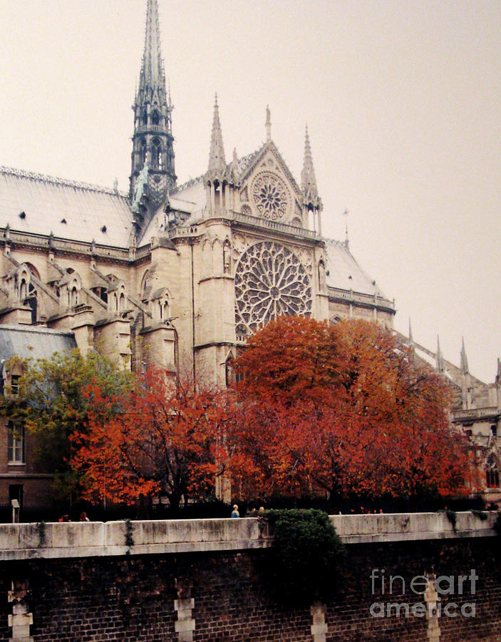 Notre Dame in Autumn Photograph by Patricia Januszkiewicz
