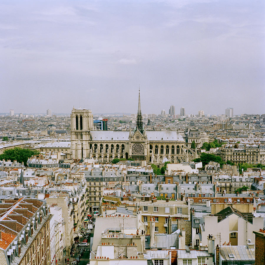 Notre Dame In Paris Photograph by Shaun Higson