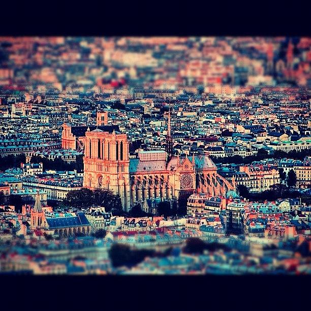 Paris Photograph - Notre Dame #paris #notredame by Alexandre Stopnicki
