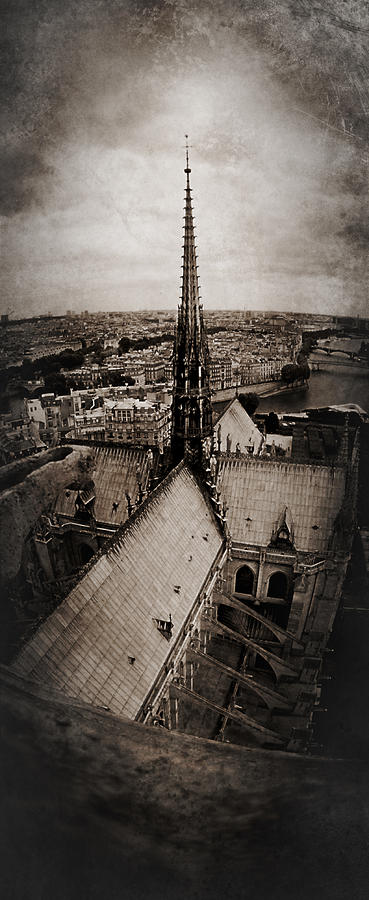 Paris Photograph - Notre Dame by Torgeir Ensrud