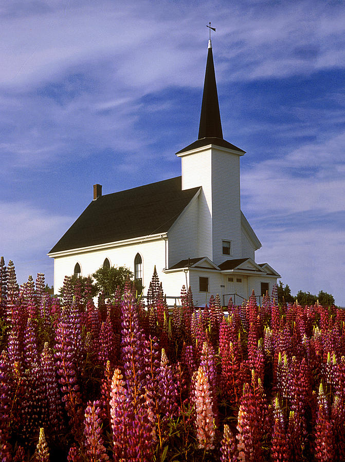 Flower Photograph - Nova Scotia Church by Dave Mills