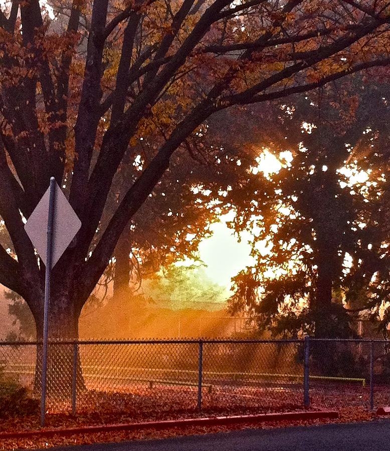 November sunrise Photograph by Bill Owen