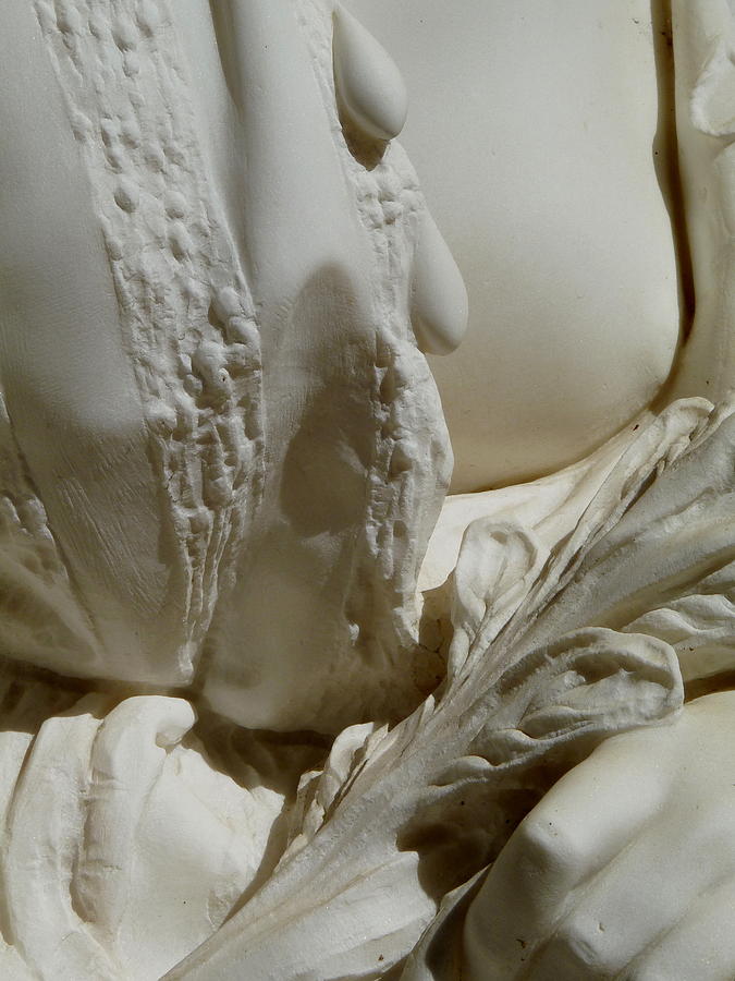 Nude Breast Peeking Robe Photograph by Jeff Lowe