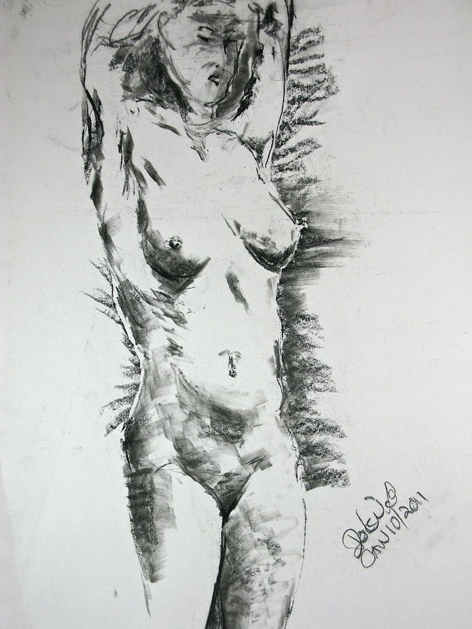 Nude Female Study Drawing by Brian Sereda