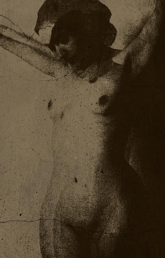 Arts Photograph - Nude Nudes Art by Falko Follert