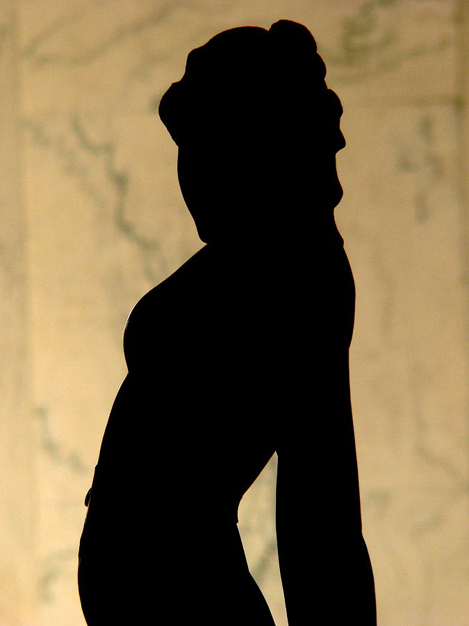 Nude Sculpted Silhouette Photograph by Jeff Lowe
