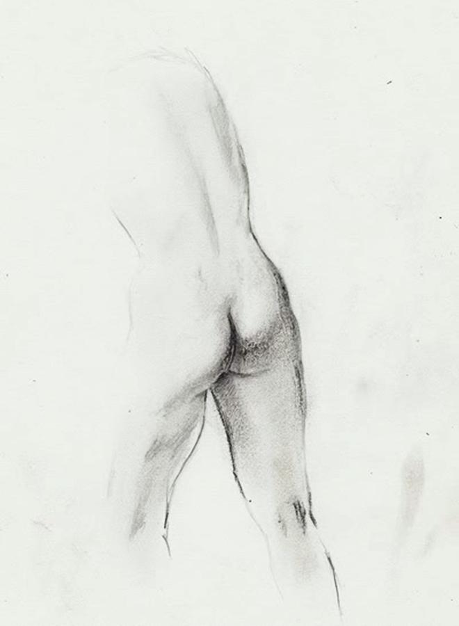 Nude Drawing - Nude XXVII by Dee Presser
