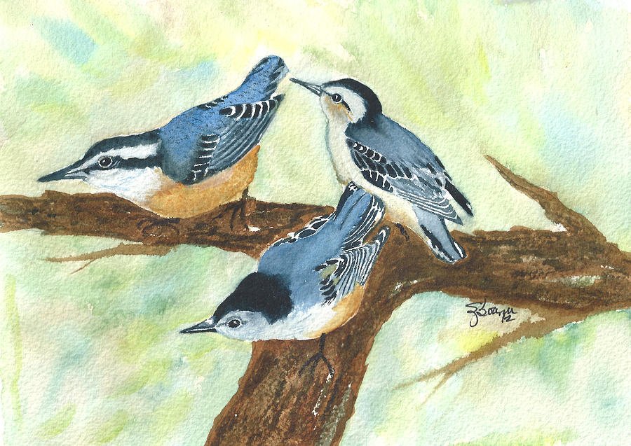 Nut Hatch Trio Painting by Elise Boam