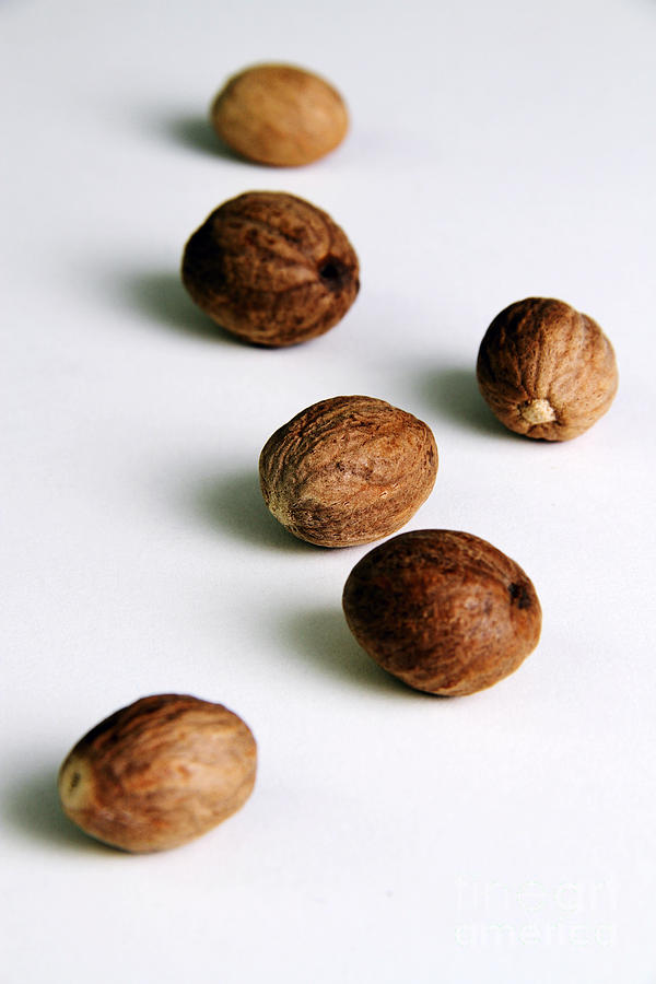 Nutmeg Seed Kernels Photograph by Photo Researchers, Inc.