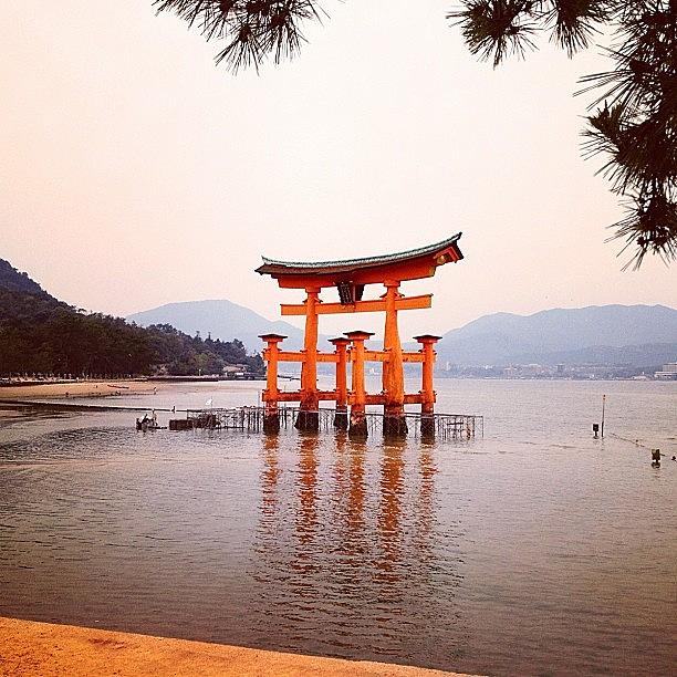 Miyajima Photograph - O-torii Gate In #miyajima. Great Trip by Christoph Flueckiger