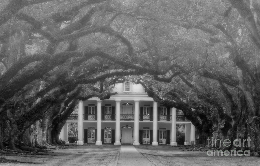 Oak Alley Plantation Louisiana Photograph