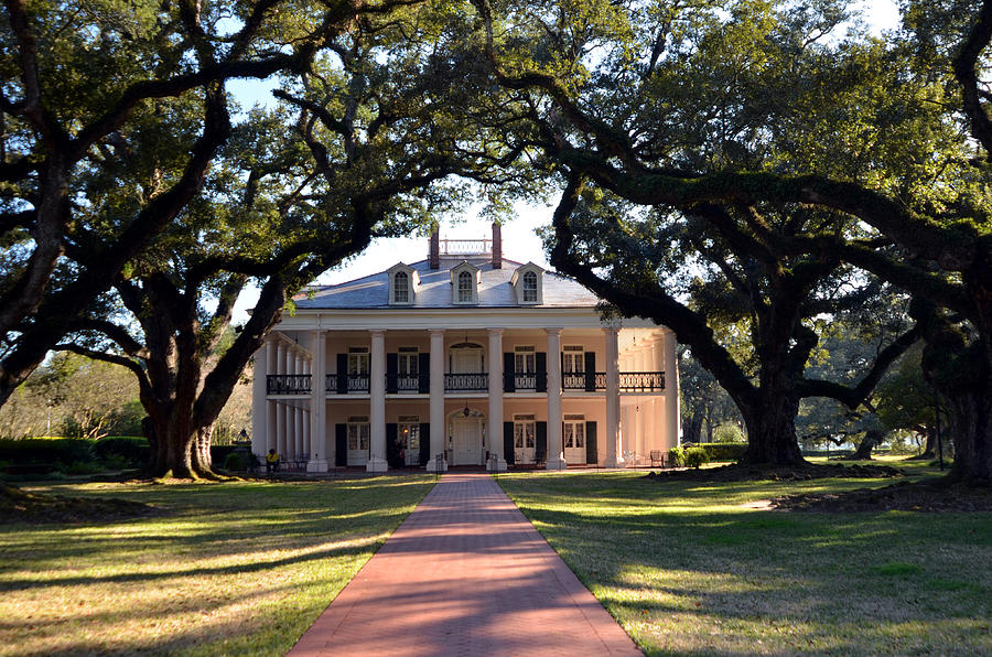 Oak Alley Plantation Photograph by Ludger Pepin - Fine Art America