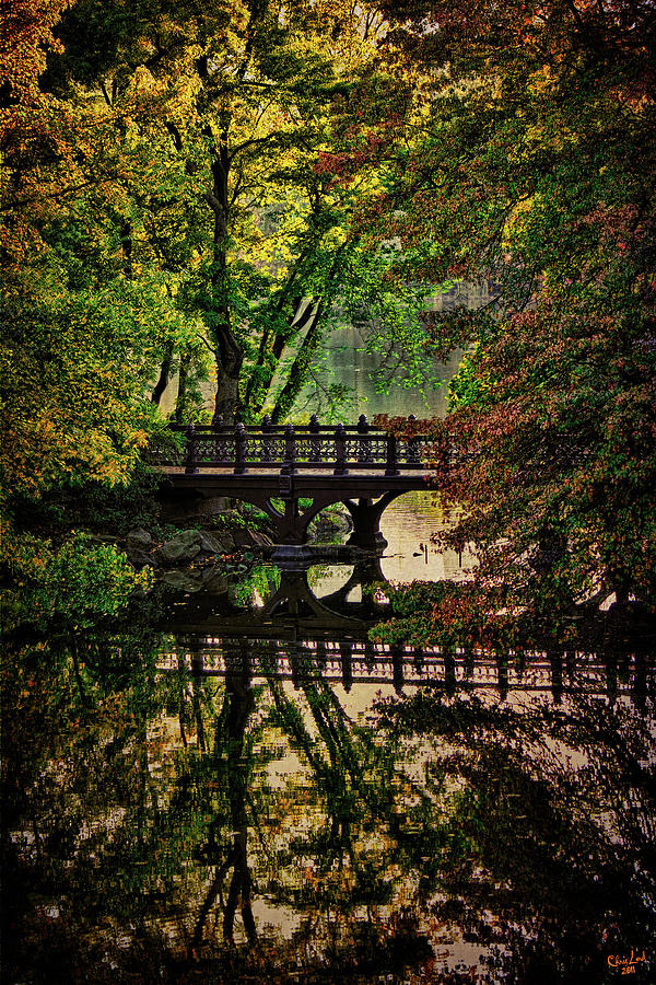Oak Bridge in Fall Photograph by Chris Lord