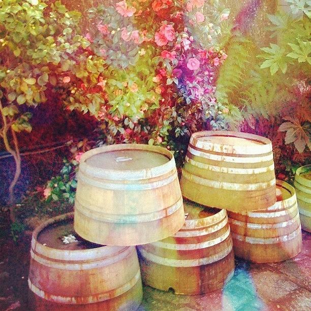 Wine Photograph - Oak Casks #winery #napa_ca #vineyard by Anna Porter