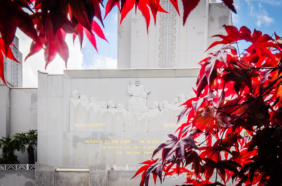 Oakland Temple Red Leaves Photograph by La Rae  Roberts