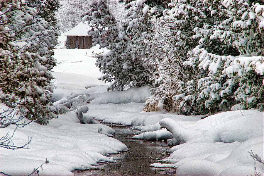 Oasis Photograph by Andrea Kollo - Fine Art America