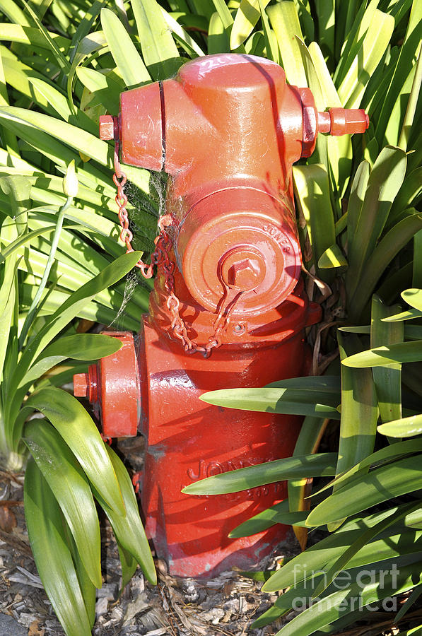 Abstract Photograph - Obfuscated Fire Hydrant by Kim Frank