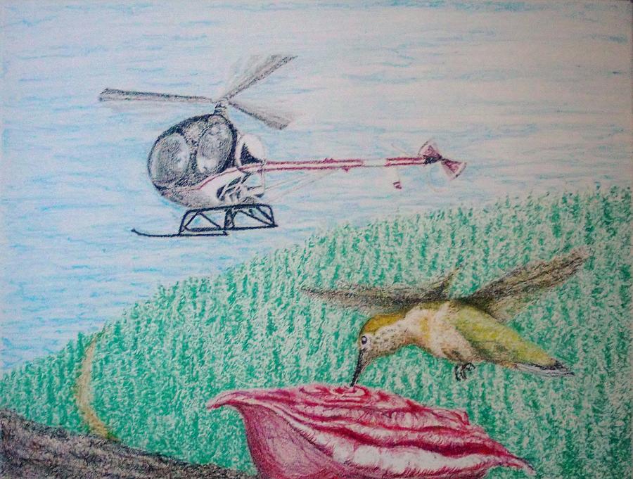 Helicopter Pastel - Observing nature B by John Fierro