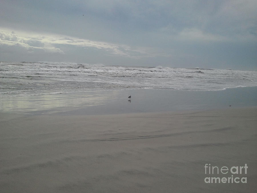 Ocean Solitude Photograph by Oliver Sands Fine Art America
