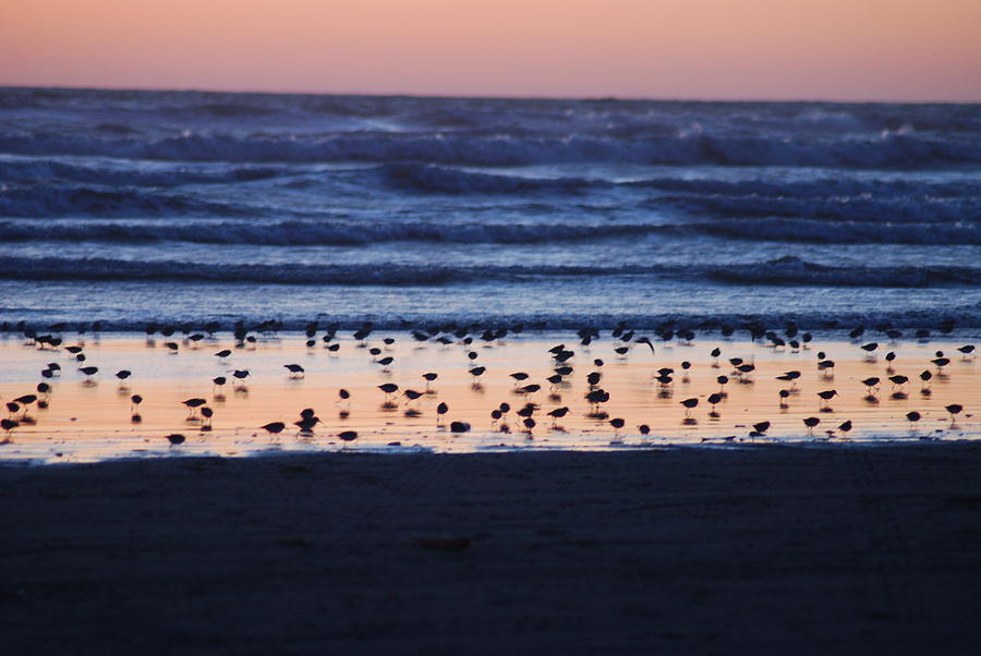 Ocean Sunset Photograph by Michael Merry