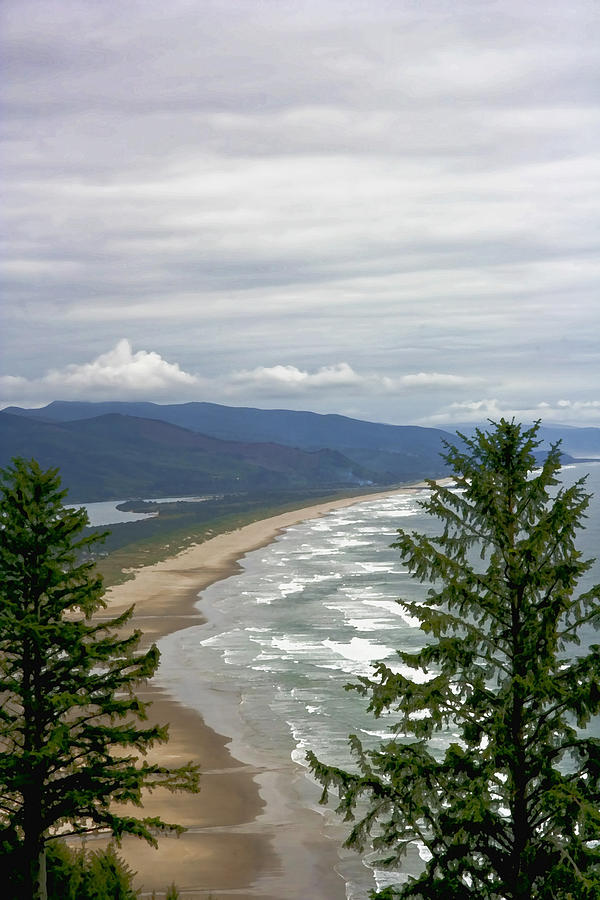 Mountain Photograph - Ocean Through the Pines IMG 6063 by Torrey E Smith Mountain Photograph - Ocean Through the Pines IMG 6063 by Torrey E Smith