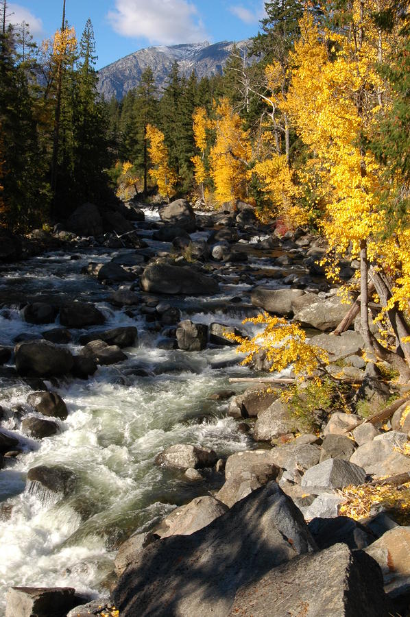 October at Icicle Creek Photograph by Wanda Jesfield