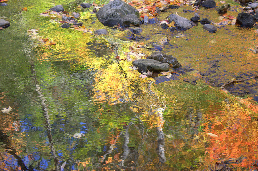 October Colors Reflected Photograph