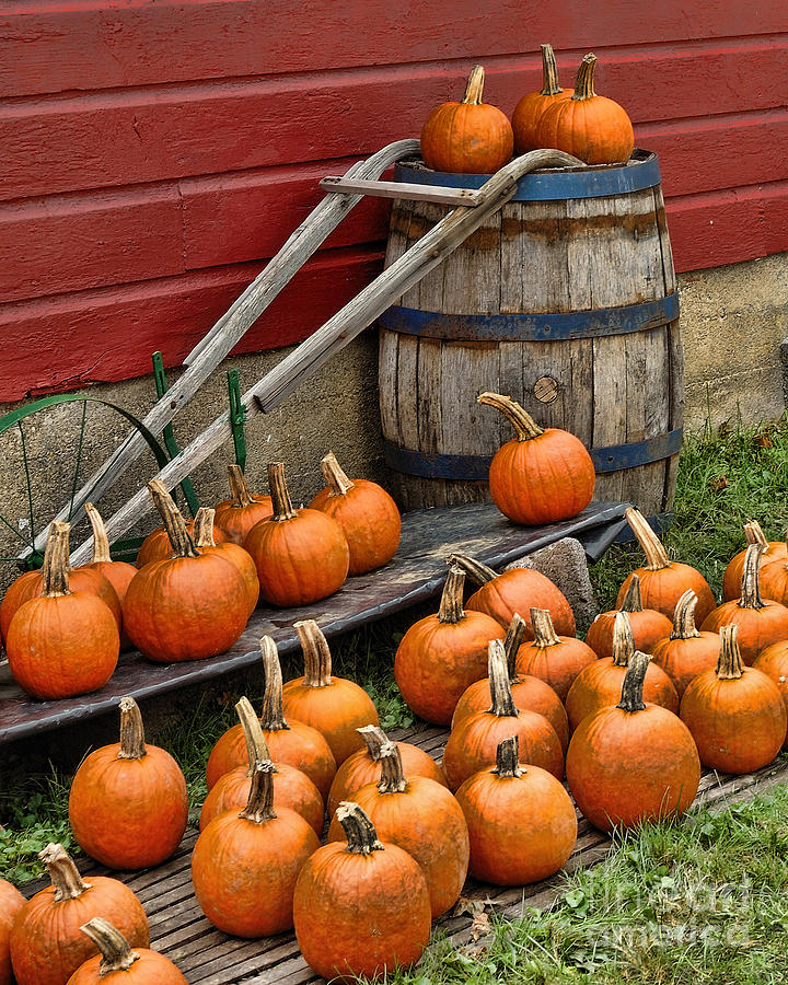 October Harvest Photograph by Edward Sobuta