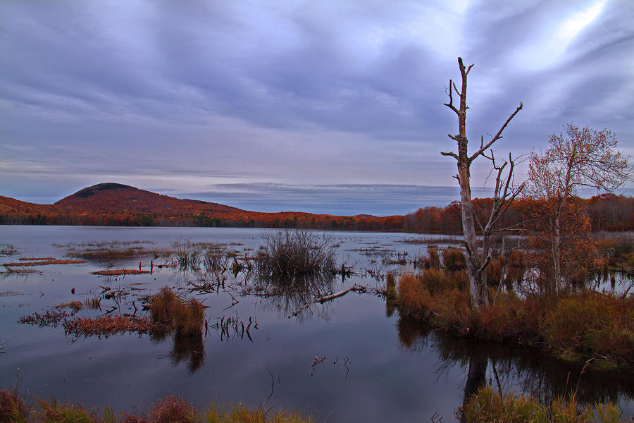 October Lake Photograph by Doug Mills