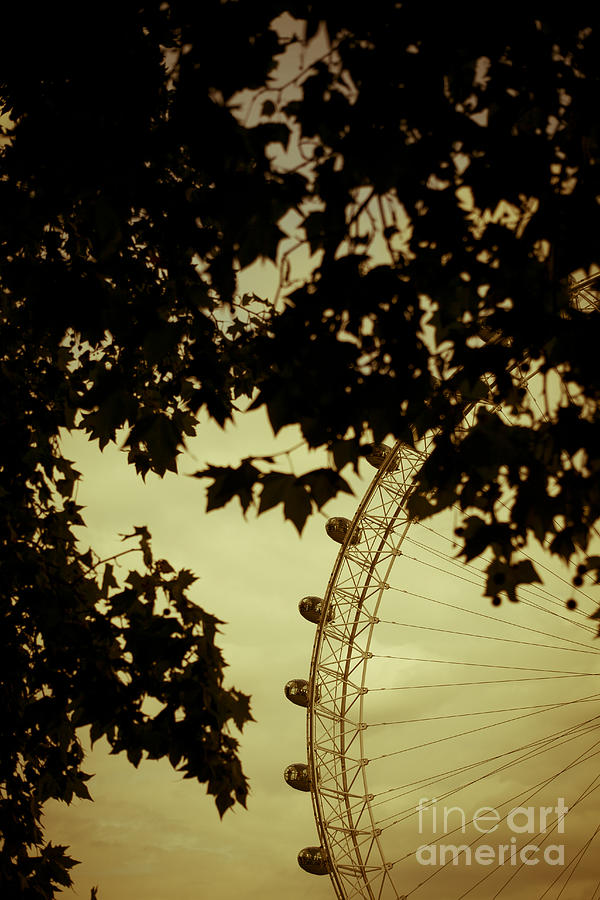 London Photograph - October Mist by Jan Bickerton