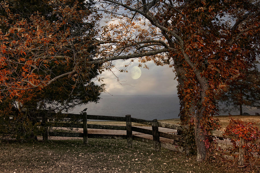 October Moon Photograph by Robin-Lee Vieira