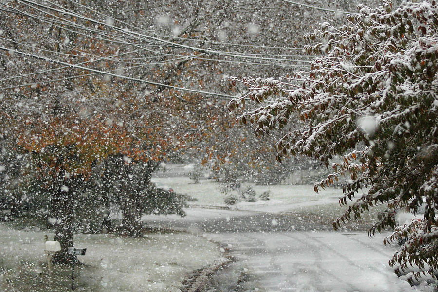 October Snow Photograph by Margie Avellino
