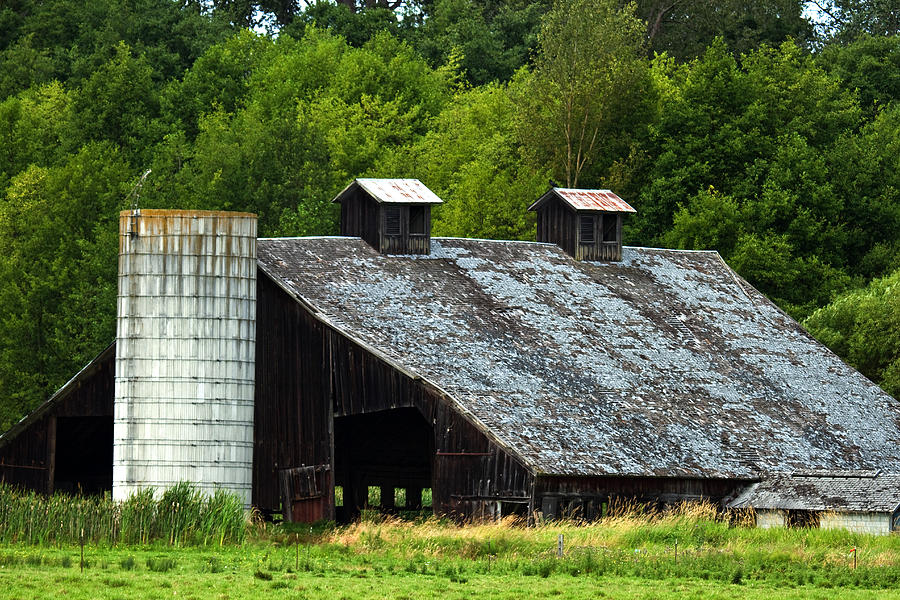 Of Old Barns Photograph by Marie Jamieson
