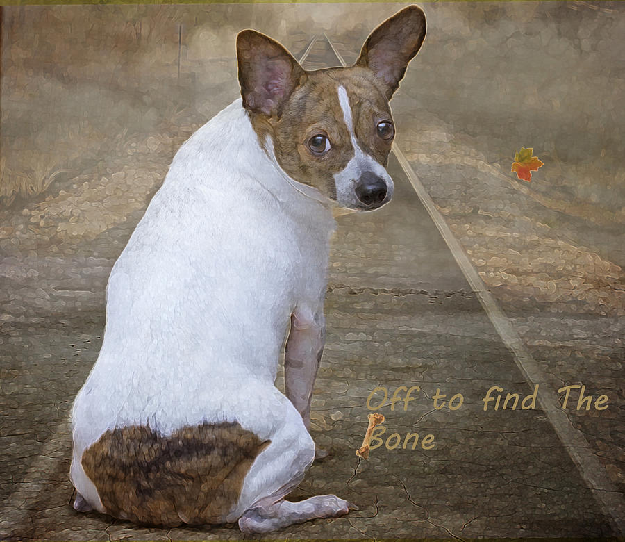 Dog Digital Art - Off to find THE Bone by Hazel Billingsley