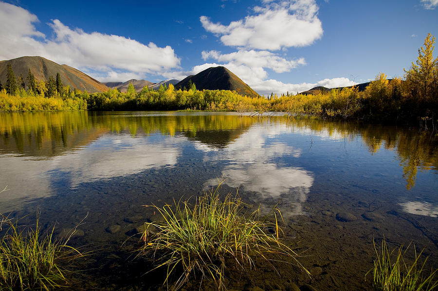 Ogilvie Mountains Along Dempster Photograph by John Sylvester Fine