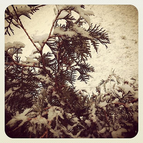 Winter Photograph - Oh Hey #winter We Thought You Forgot Us by Katrina A