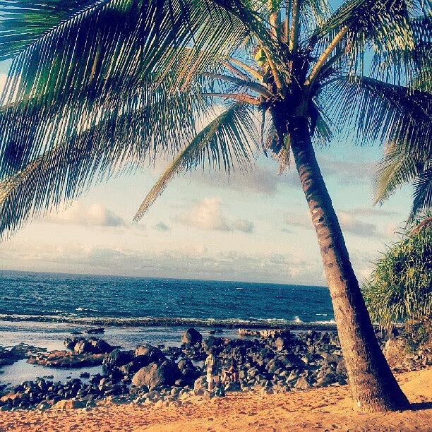 Beach Photograph - Oh Mighty #palm. #tropics by A Silva