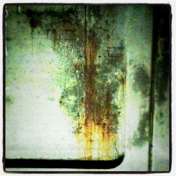 Wmata Photograph - Oh Urban Decay, #wmata, For This I Pay? by Rob Murray