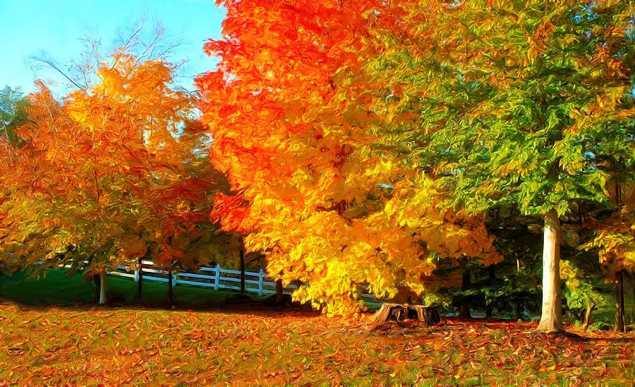 Ohio Autumn Maples Photograph by Dennis Lundell