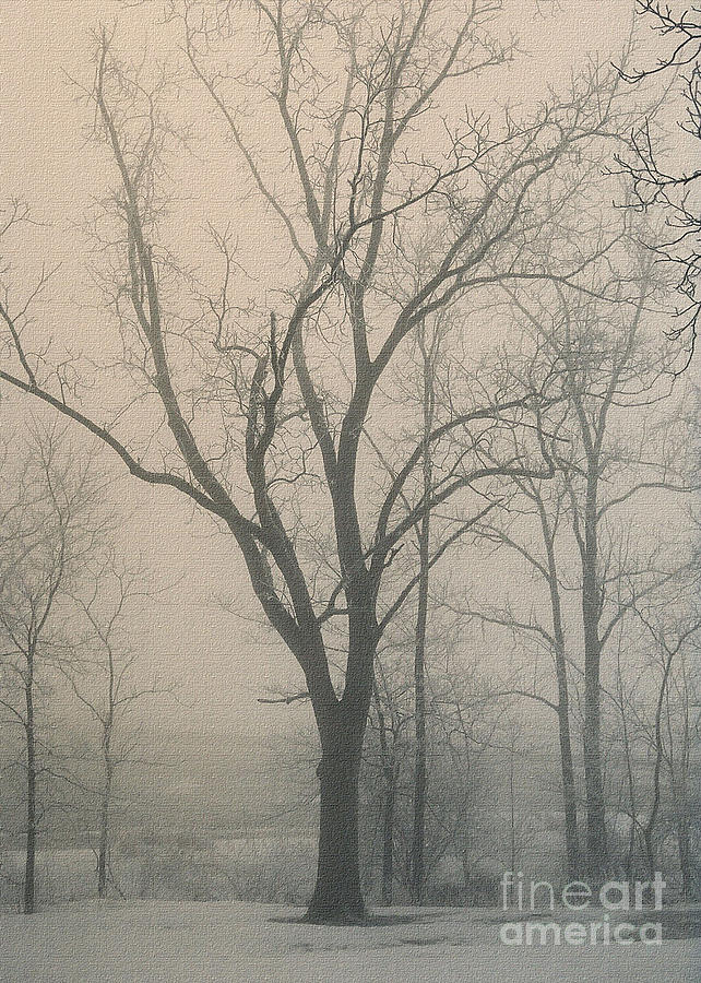 Winter Photograph - Ohio Winter Solitude by Pamela Baker