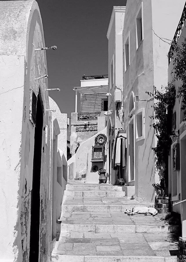 Oia Staircase BW Photograph by Jenny Hudson