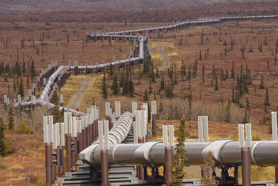 Oil Pipeline Crossing Taiga, Alaska Photograph by Gerry Ellis