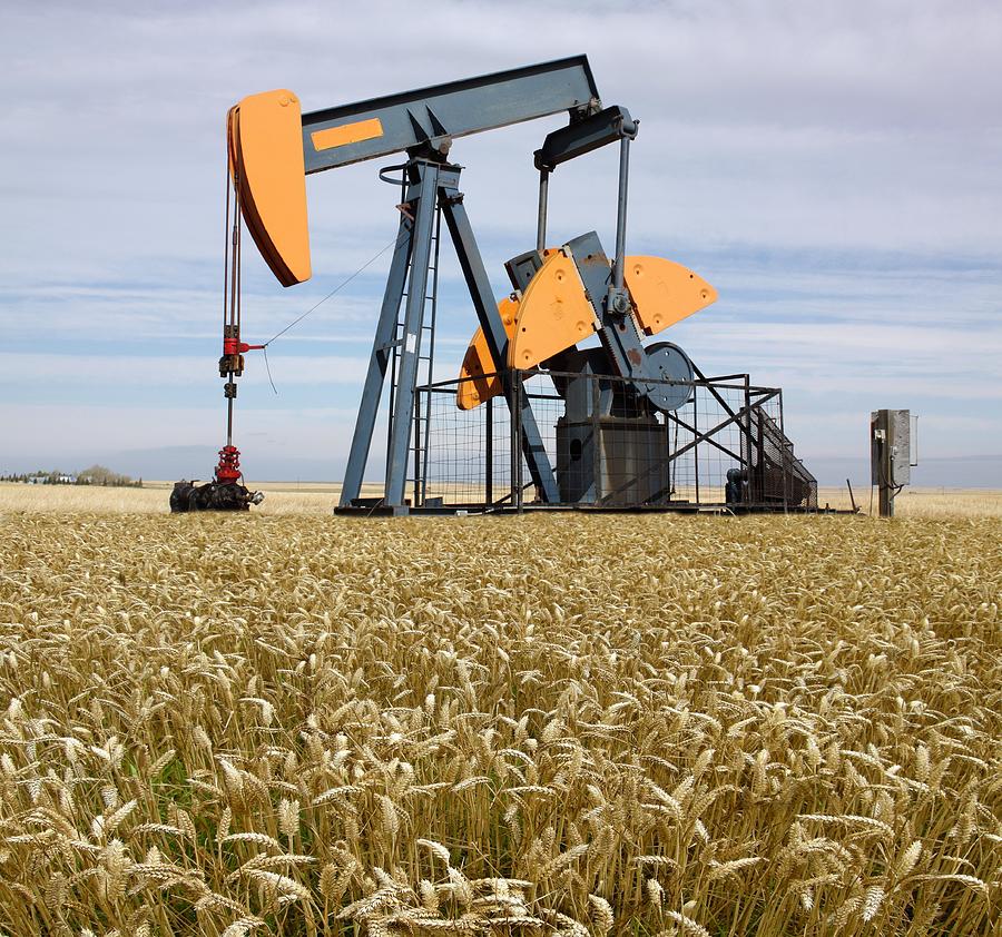 Oil Pump In A Wheat Field Photograph by Science Photo Library - Pixels