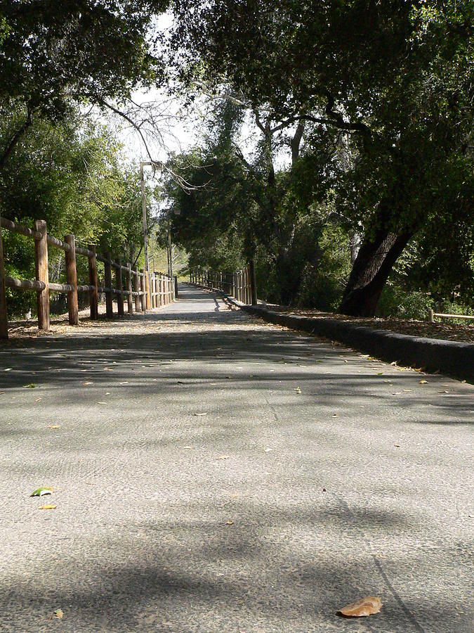 Ojai Bike Trail Photograph by DLynne Warren - Fine Art America