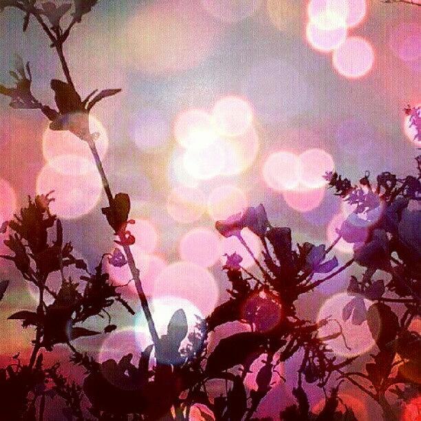 Abstract Photograph - Ojai Pink Moment @ Jodis... #skyporn by Narayan Beauty
