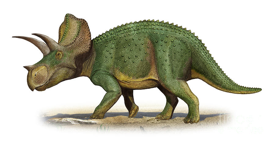 Horizontal Digital Art - Ojoceratops Fowleri, A Prehistoric Era by Sergey Krasovskiy